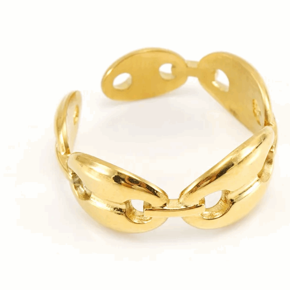 Mariner-link Ring ๐